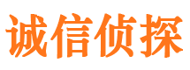 新疆市私家侦探